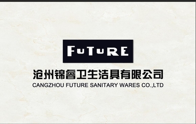 จีน CangZhou Future Sanitaryware Co.,Ltd.