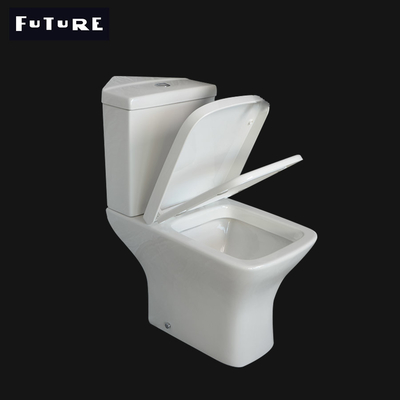 Washdown Flushing โถสุขภัณฑ์เข้ามุมมุมมาตรฐานในอุดมคติ